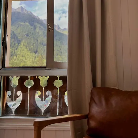 Lejlighed Le Petit Social Chamonix